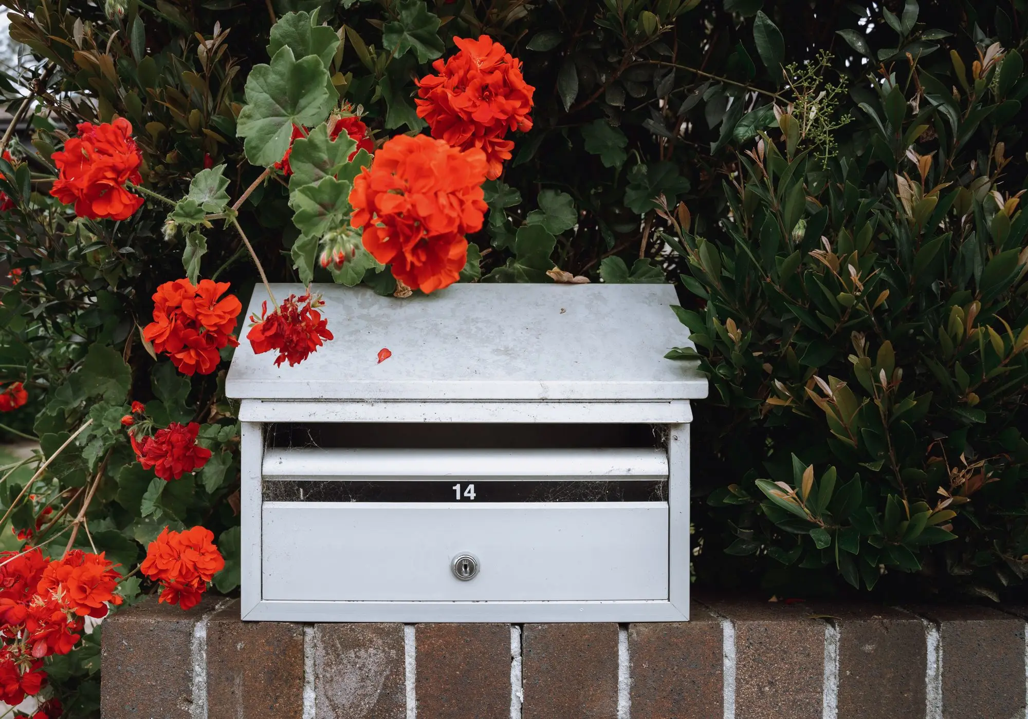 Letterbox on a brick front fence in Kurraba Point, Sydney, where land tax and council rates notices arrive